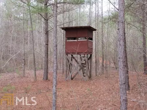 306 Co Rd 313, Delta, AL 36258 photo 4