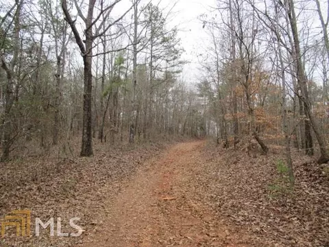 306 Co Rd 313, Delta, AL 36258 photo 2