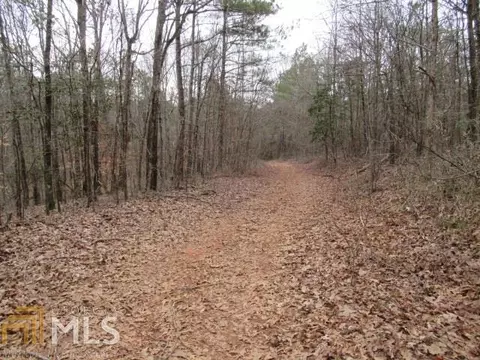 306 Co Rd 313, Delta, AL 36258 photo 6