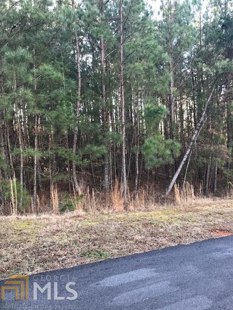 1091 River Run, Bishop, GA 30621 photo 6