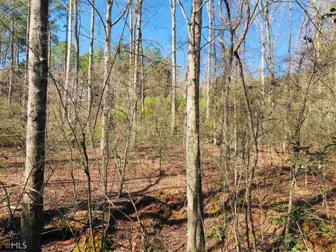 485 Mitchell Rd, Forsyth, GA 31029 photo 11