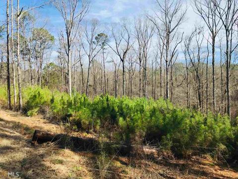 485 Mitchell Rd, Forsyth, GA 31029 photo 12