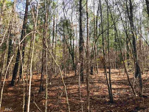 485 Mitchell Rd, Forsyth, GA 31029 photo 8