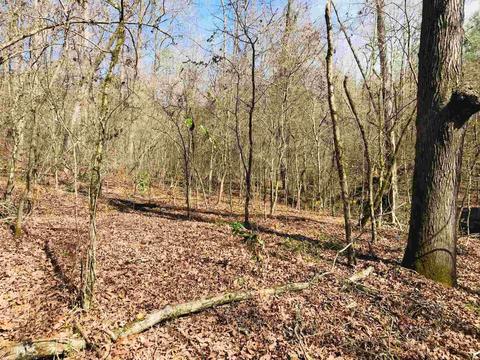 485 Mitchell Rd, Forsyth, GA 31029 photo 7