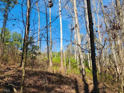 485 Mitchell Rd, Forsyth, GA 31029 photo 9