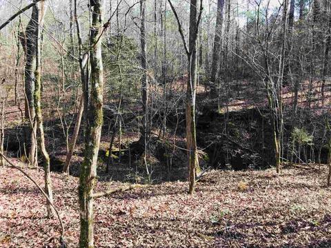 485 Mitchell Rd, Forsyth, GA 31029 photo 10