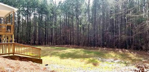 220 Happy Holw, Hampton, GA 30228 photo 17