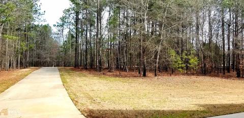 220 Happy Holw, Hampton, GA 30228 photo 28