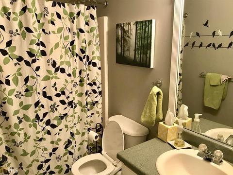 305 Cobb Ct, Hampton, GA 30228 photo 27