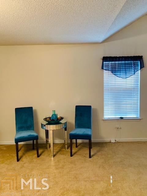 324 Ava Ct, Hampton, GA 30228 photo 14
