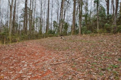 223 Falling Leaf Ln, Winder, GA 30680 photo 34