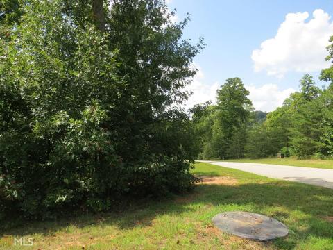 11 Wards Pond Way, Toccoa, GA 30577 photo 5