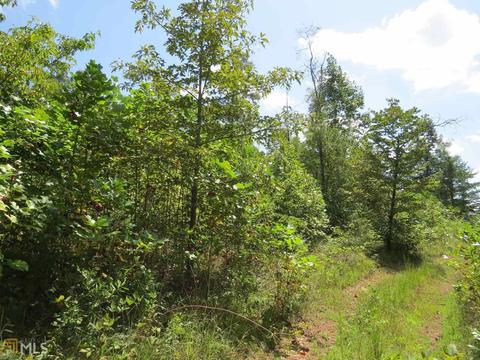 11 Wards Pond Way, Toccoa, GA 30577 photo 3