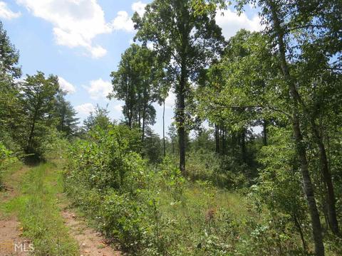 11 Wards Pond Way, Toccoa, GA 30577 photo 2