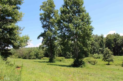 7110 Kenimer Rd, Clermont, GA 30527 photo 24