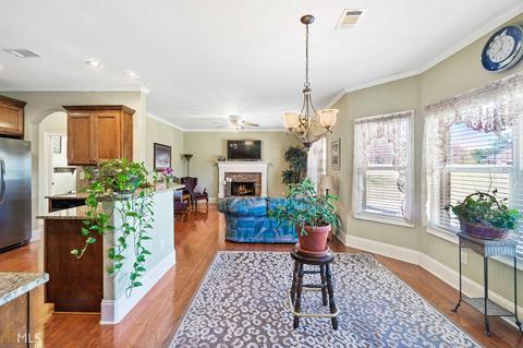 205 Manresa Ct, Hampton, GA 30228 photo 19