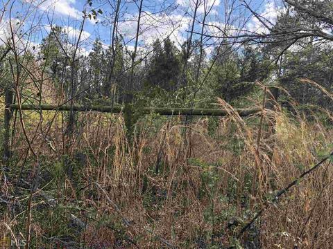 220 Clower Dr, Bowdon, GA 30108 photo 2