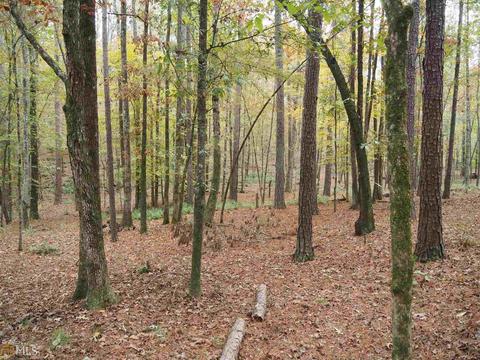 310 Willow Pointe Dr, Lagrange, GA 30240 photo 27