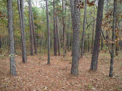 310 Willow Pointe Dr, Lagrange, GA 30240 photo 23