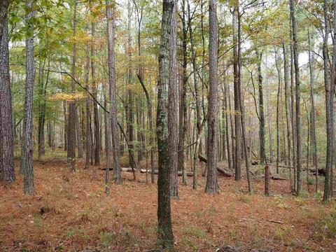 310 Willow Pointe Dr, Lagrange, GA 30240 photo 25
