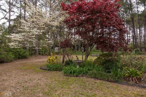 106 Shoreline Way, Hampton, GA 30228 photo 33