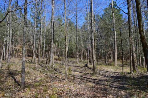 1061 Sims Bridge Rd, Commerce, GA 30530 photo 18