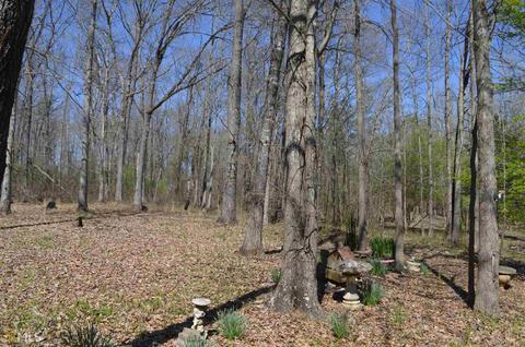 1061 Sims Bridge Rd, Commerce, GA 30530 photo 13