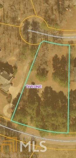 150 Silverthorn Dr, Tyrone, GA 30290 photo 1
