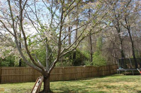 3040 Mill Cir, Monroe, GA 30655 photo 25