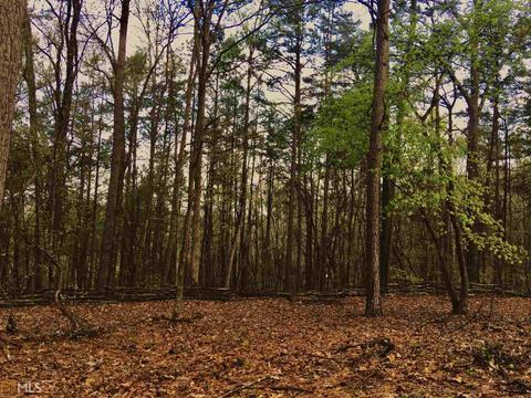 0 Mountain View Rd, Rome, GA 30161 photo 12