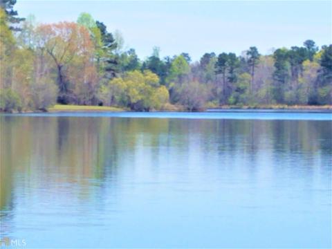 12122 Edgewater Dr, Hampton, GA 30228 photo 11