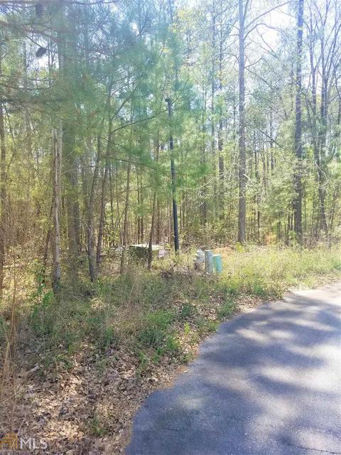 12122 Edgewater Dr, Hampton, GA 30228 photo 5