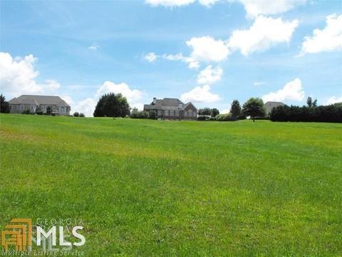 4611 Running Wolf Way, Gainesville, GA 30506 photo 3