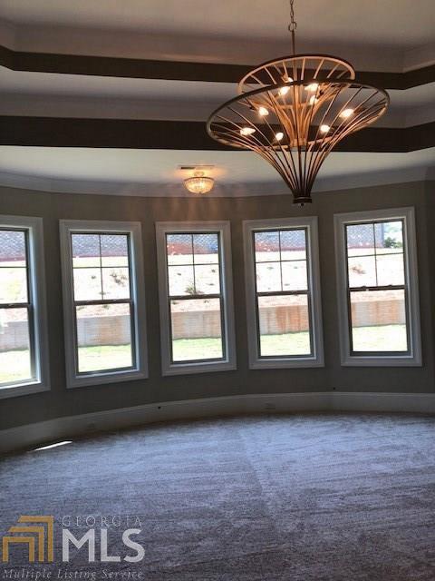 320 Warwick Pl, Mcdonough, GA 30253 photo 5