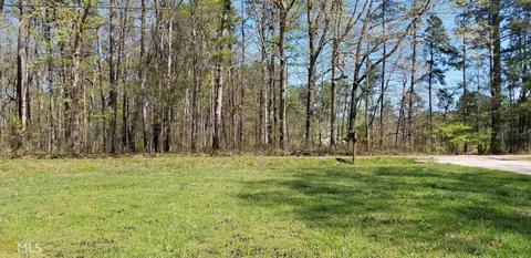 60 Brannon Rd, Buchanan, GA 30113 photo 8