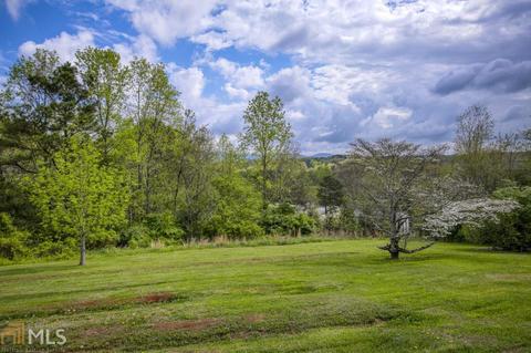 339 Thrasher Ln, Jasper, GA 30143 photo 28