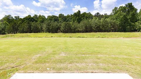 3667 Parkside View Blvd, Dacula, GA 30019 photo 19