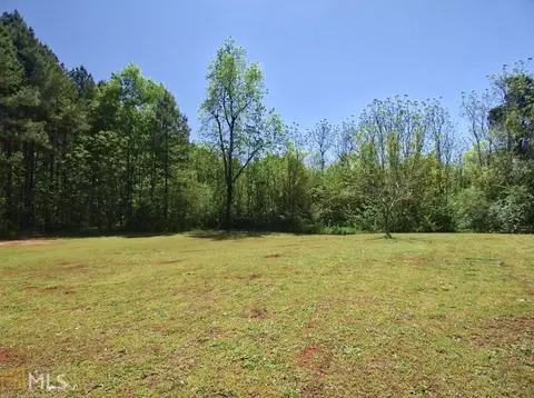 132 Potomac Dr, Jackson, GA 30233 photo 18