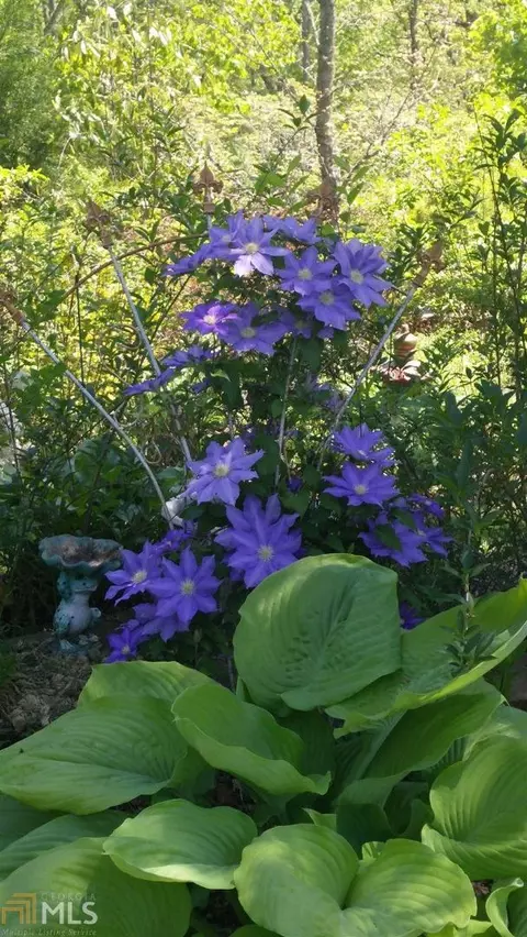 70 Summit Rd, Otto, NC 28763 photo 34