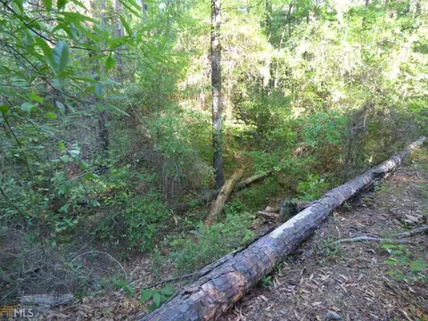 Undisclosed, Macon, GA 31220 photo 6
