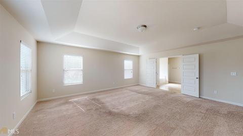 294 Hillcrest Ct, Hampton, GA 30228 photo 20
