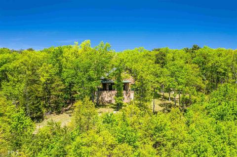 39 Still Hollow Dr, Menlo, GA 30731 photo 8
