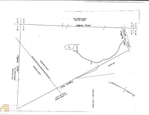 1650 Rock Rd, Mount Airy, GA 30563 photo 2