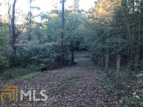 295 Murphy Rd, Lagrange, GA 30241 photo 23