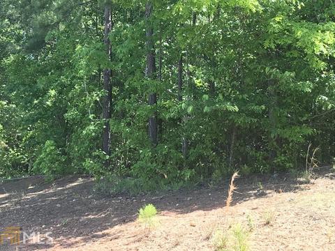 1813 Schofield Dr, Hampton, GA 30228 photo 7