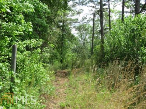 415 Johnson Rd, Waco, GA 30182 photo 11