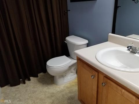 11214 James Madison Dr, Hampton, GA 30228 photo 26
