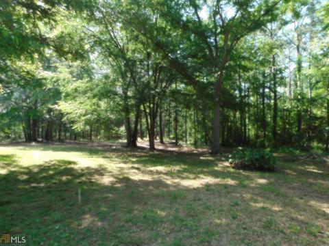 399 Teaver Rd, Lagrange, GA 30240 photo 23