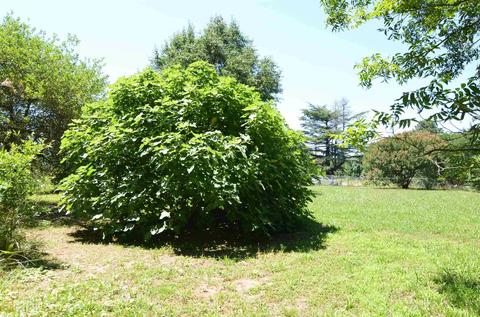 2908 Highway 98 E, Comer, GA 30629 photo 5
