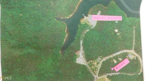 454 Spring Branch Cir, Toccoa, GA 30577 photo 4
